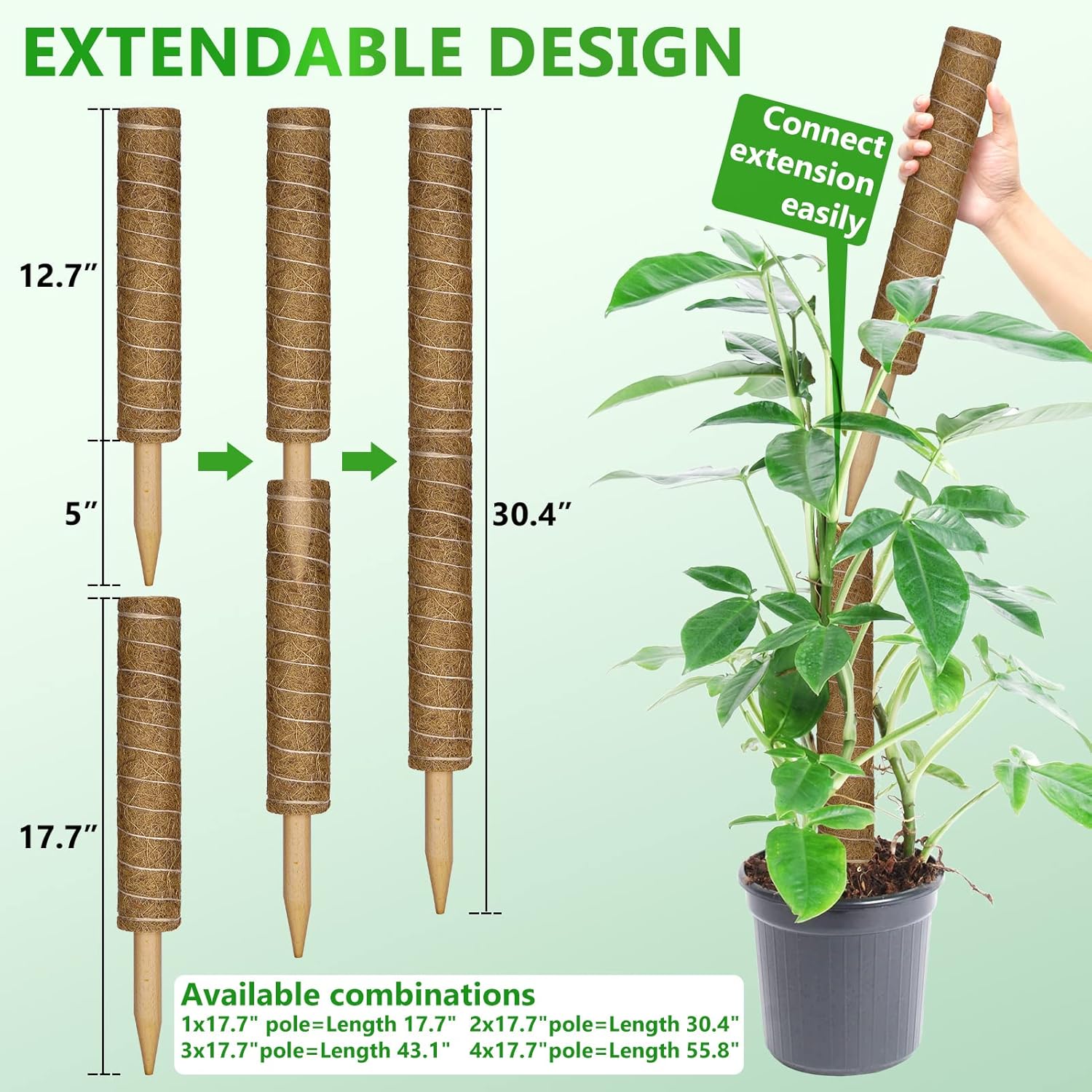 Poste de musgo de 56 pulgadas, 4 piezas de soporte para plantas Monstera de poste de musgo, palo de tótem de coco de 17.7 pulgadas para plantas
