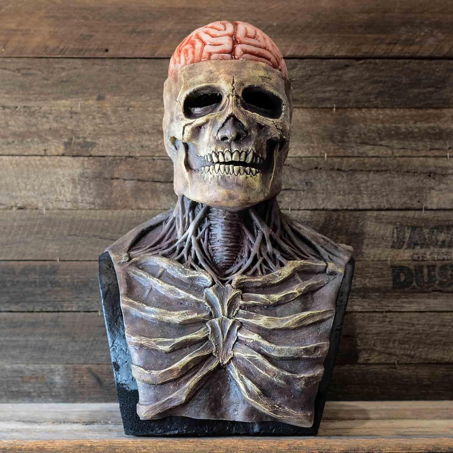 RIYUNE Máscara de látex de calavera de cerebro desnudo, máscara de calavera de Halloween, máscara de calavera en movimiento, disfraces de Halloween,