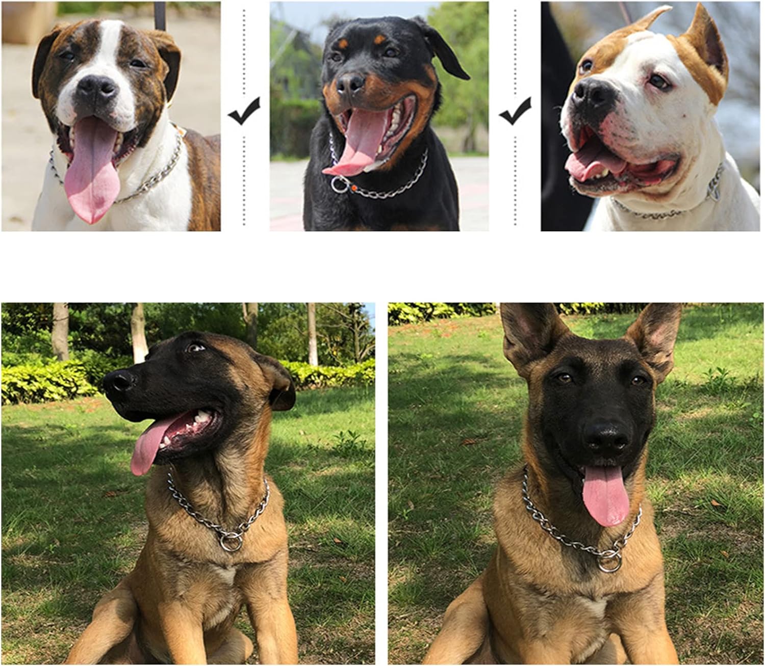 YUANKEXIANG Collar de estrangulador para perro, cadena P deslizante, collares de cadena de estrangulamiento para perros pequeños, medianos y