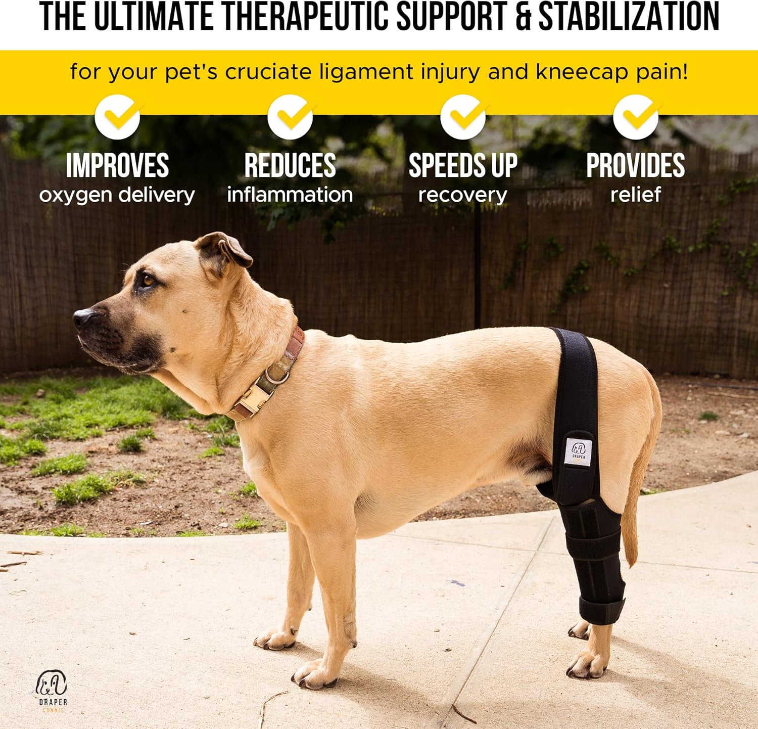 Rodillera para perro para desgarro de ligamento cruzado anterior con lesión de ligamento cruzado  Soporte ajustable para soportes de pierna trasera