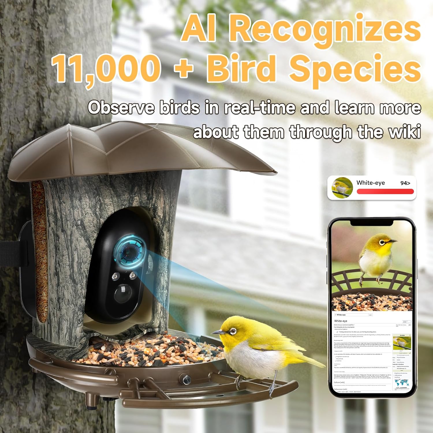 SuplutuX Comedero inteligente para pájaros con cámara AI para identificar más de 11000 especies de aves, alimentador solar para pájaros de captura