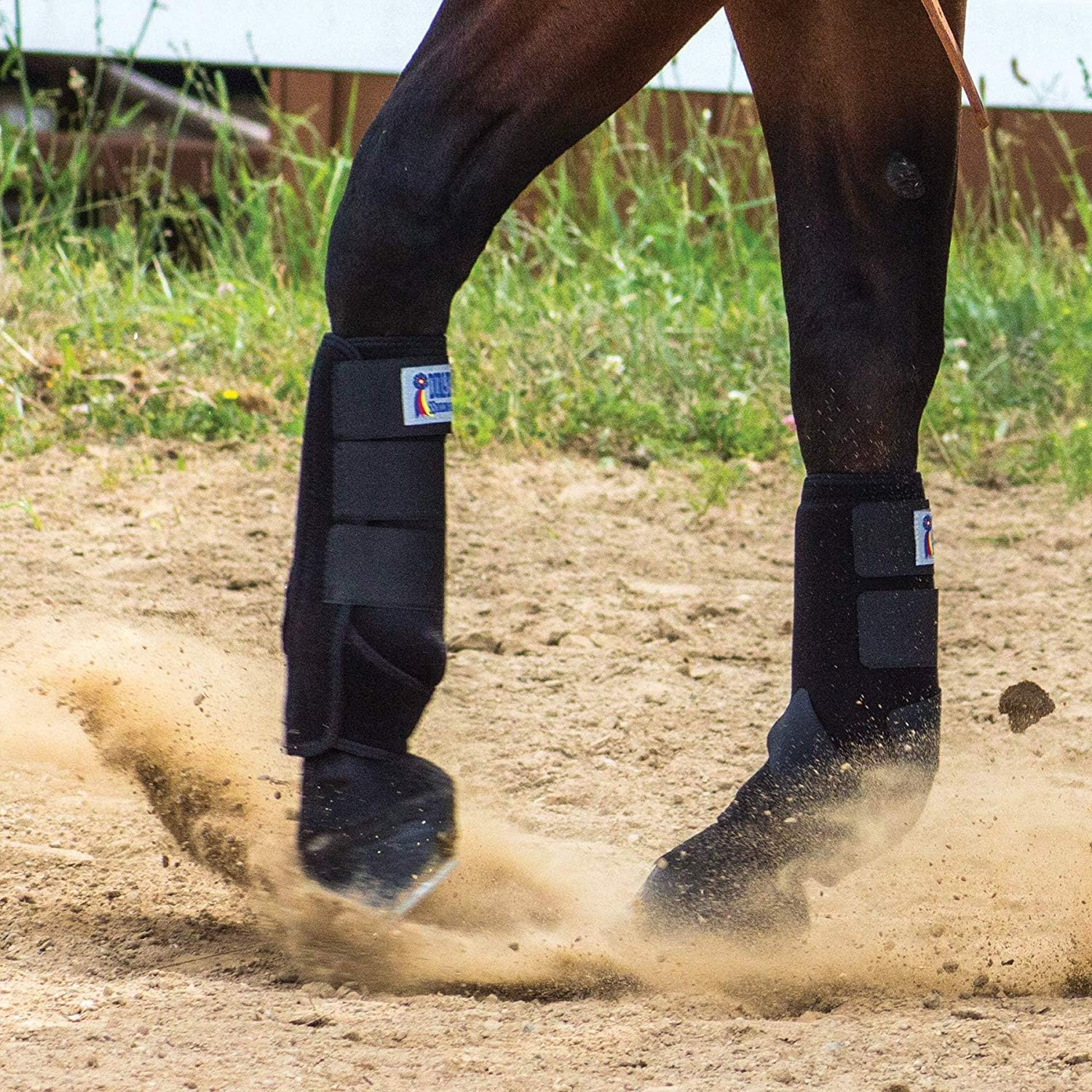 Botas de neopreno de soporte extra  Ideal para tendón de caballo y soporte de tobillo  Esencial para entrenamiento, escuela o senderos