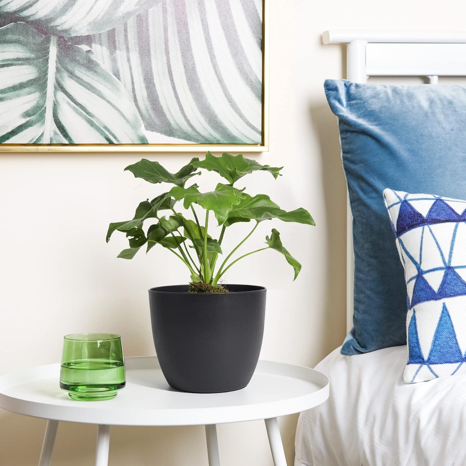 T4U – Macetero de plástico con autorregado, macetero moderno y decorativo para todas las plantas de la casa, flores, hierbas, violetas, suculentas