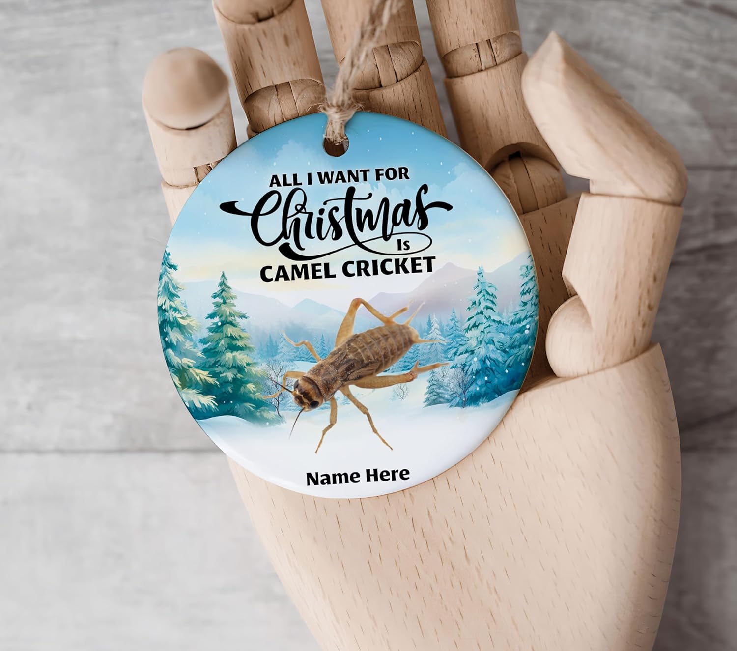 Adorno de regalo personalizado de grillo de camello 2023 para decoración del árbol de Navidad, regalos de recuerdo personalizados para dueños de