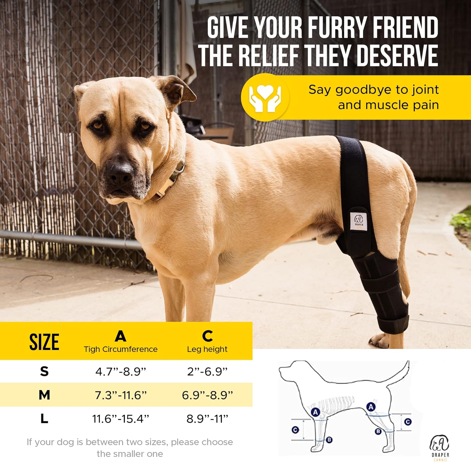 Rodillera para perro para desgarro de ligamento cruzado anterior con lesión de ligamento cruzado  Soporte ajustable para soportes de pierna trasera