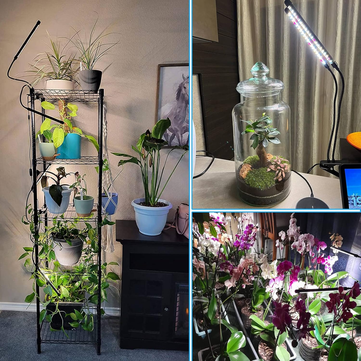 Luces de cultivo de 100 W para plantas de interior de espectro completo, luces LED de cultivo de plantas, 3000k5000k660nm, lámparas de cultivo de