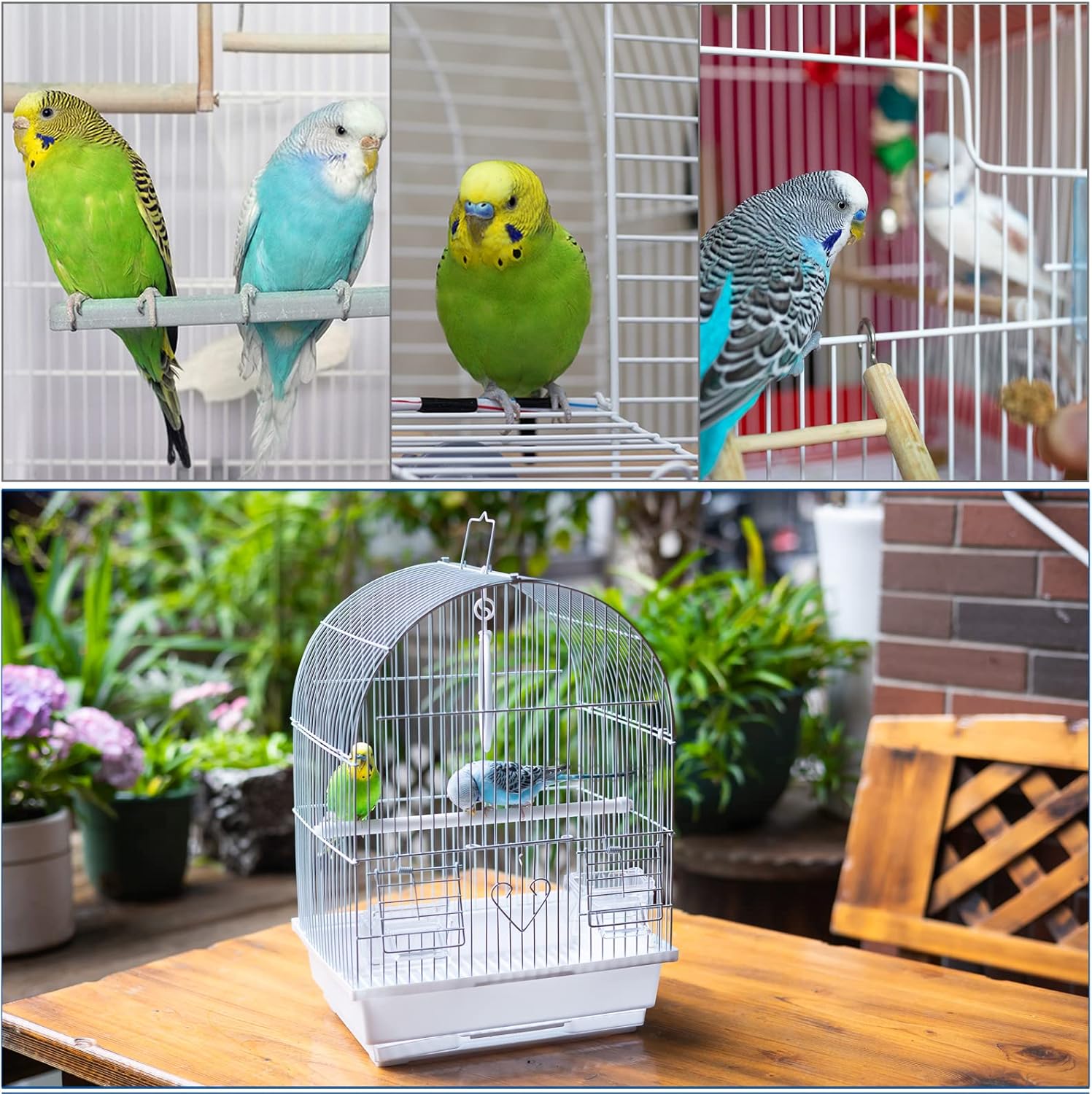 Capuca Jaula de viaje para pájaros pequeños, kit de iniciación ligero para pájaros pequeños con jaulas y accesorios, ideal para periquitos,