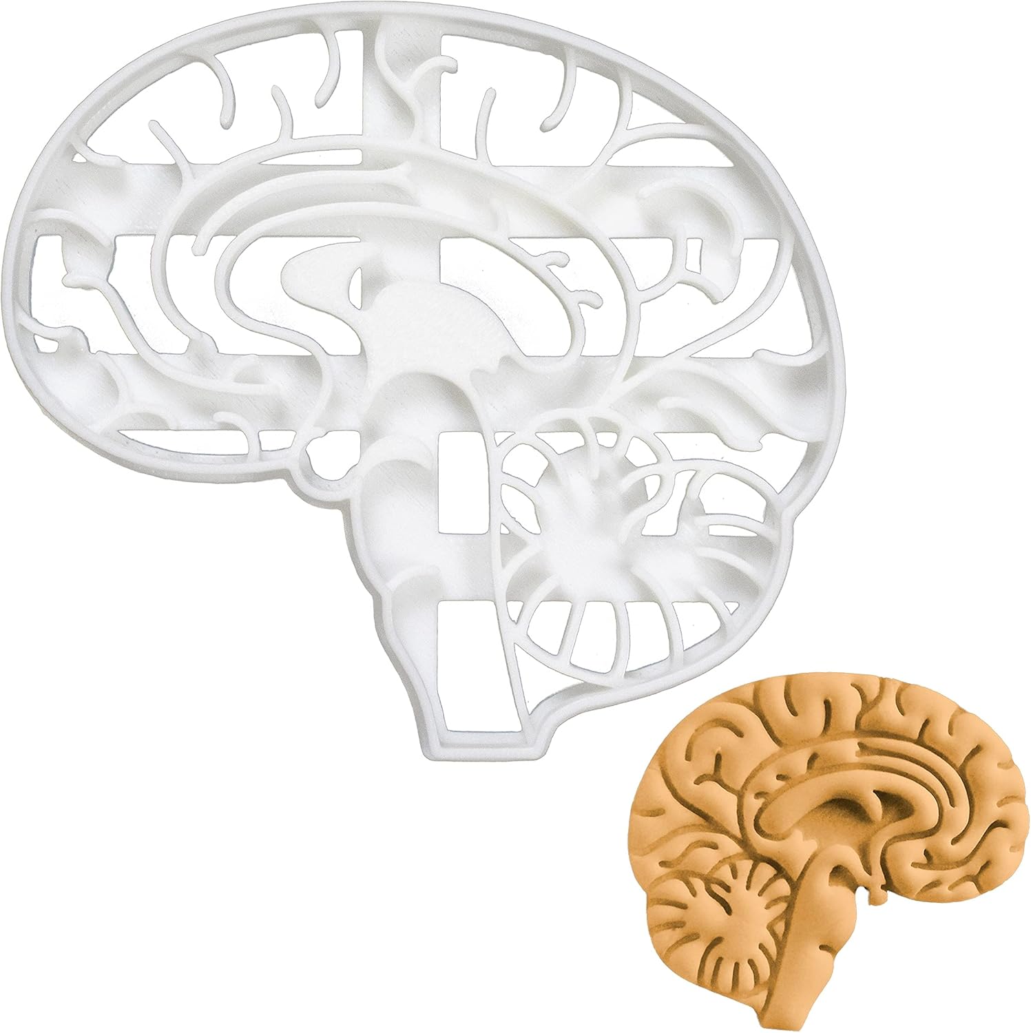 Cortador de galletas anatómico Brain, 1 pieza – Bakerlogy