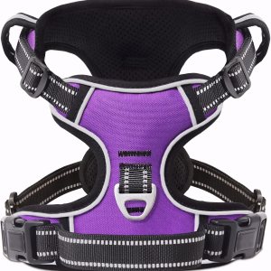 Timos Arnés para perro sin tirones, arnés de chaleco con clip frontal para perros medianos, arnés acolchado suave reflectante ajustable con 2 Timos Arnés para perro sin tirones, arnés de chaleco con clip frontal para perros medianos, arnés acolchado suave reflectante ajustable con 2