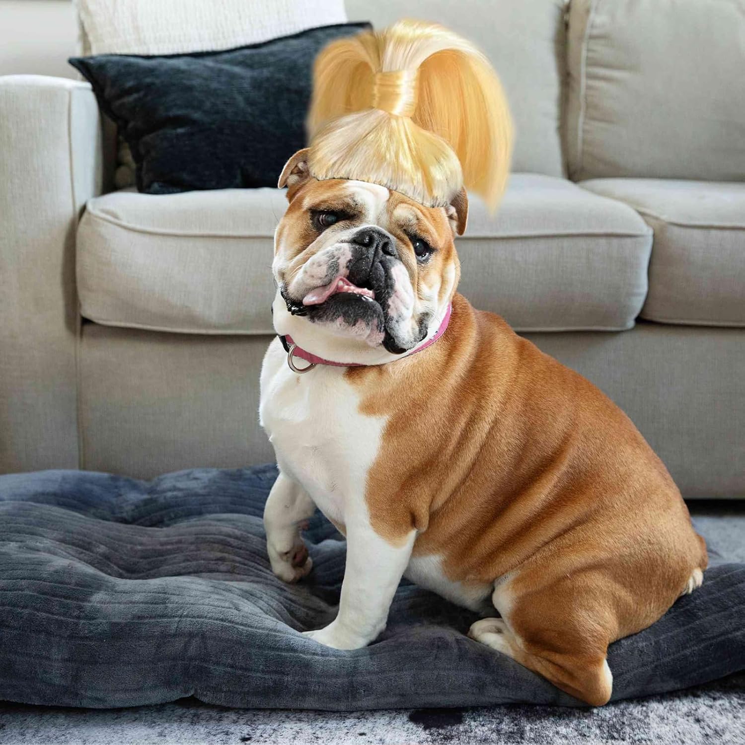 MANMAOHE Peluca rubia para mascotas, bonita peluca para mascotas con bandas elásticas ajustables, divertida peluca de cosplay para perros, gatos,