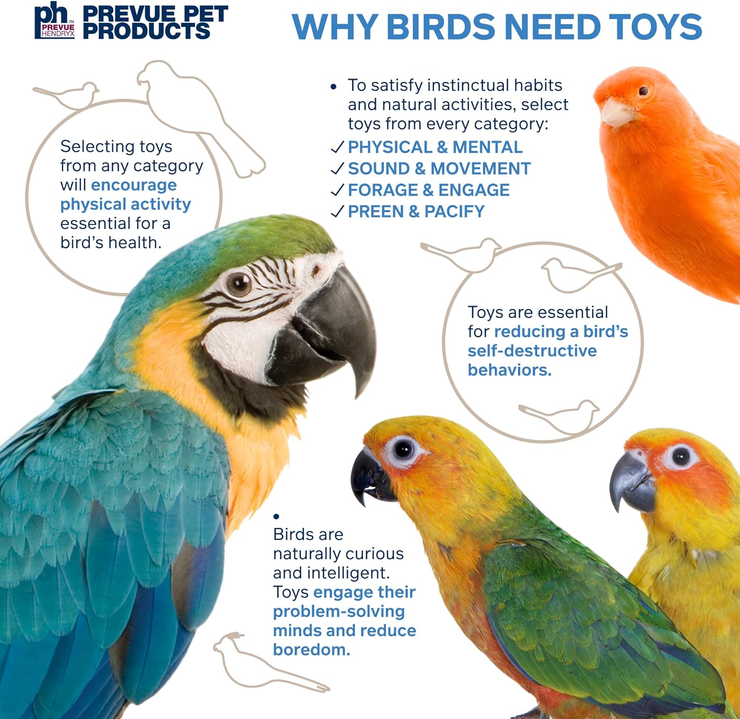 Pervue Pet Products Sonido y movimiento Miami Frost Bird Toy 62674