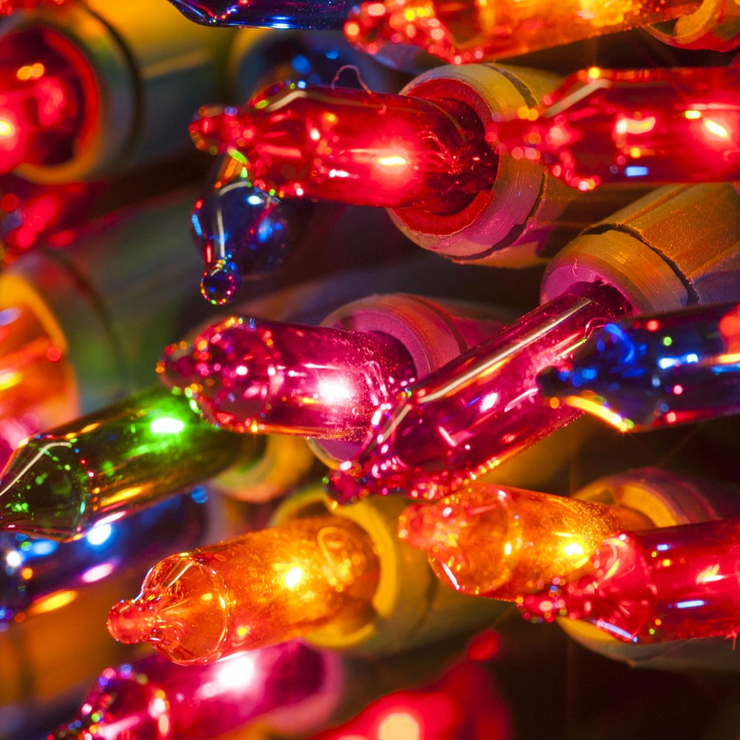 FUNPENY – 50 luces LED de Navidad para uso al aire libre de 16 pies, tira de luces con 8 modos, luces impermeables para árbol en interiores y