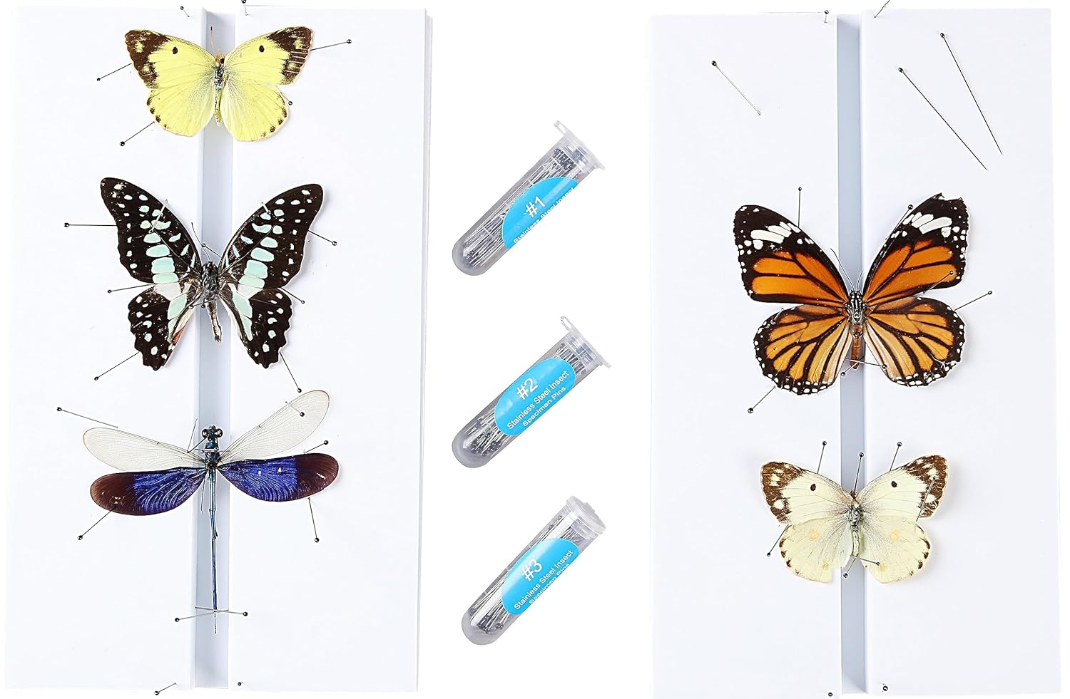 Kit de herramientas de fabricación de espécimen de insectos, (300 pines de insectos en tamaño #1, 2, 3) y (2 tablas de fijación de insectos),