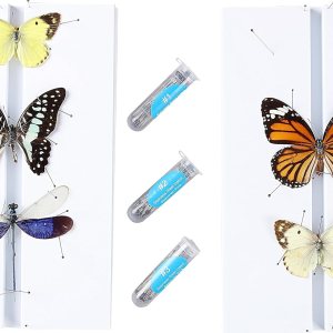 Kit de herramientas de fabricación de espécimen de insectos, (300 pines de insectos en tamaño #1, 2, 3) y (2 tablas de fijación de insectos), Kit de herramientas de fabricación de espécimen de insectos, (300 pines de insectos en tamaño #1, 2, 3) y (2 tablas de fijación de insectos),