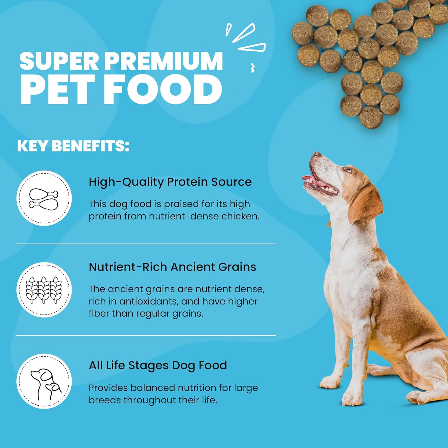 Muenster Ancient Grains – Alimento seco para perros grandes con sabor a pollo (22 libras), sin gluten, sin OMG, con alto contenido de proteínas,