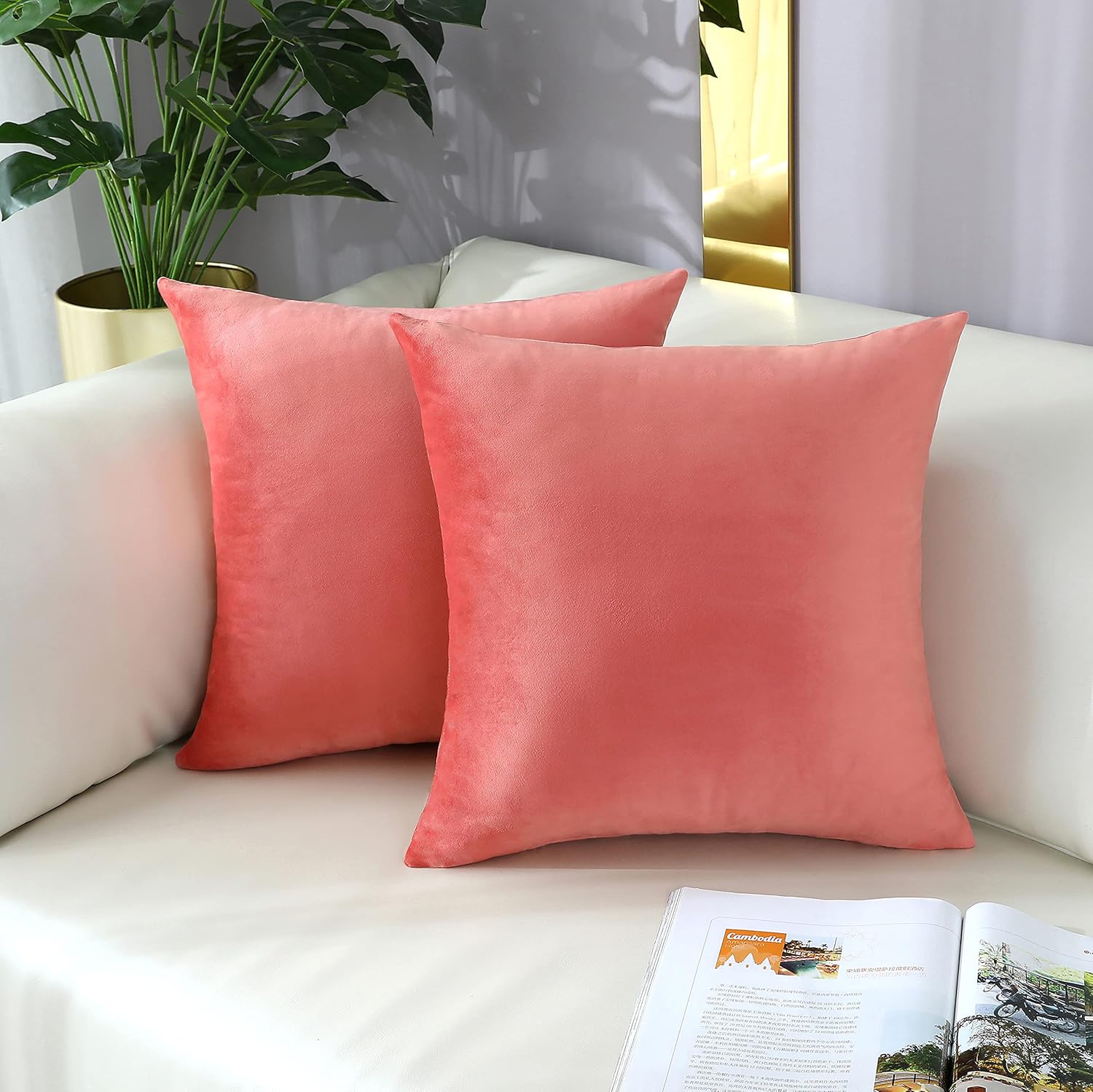 mixeoo Comfy – Juego de 2 fundas de almohada cuadradas de terciopelo sólido súper suaves, decoración del hogar para sofá y sofá, juego de 2, 18 x 18