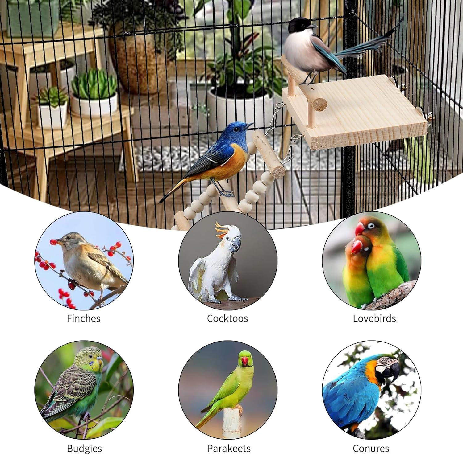 Plataforma de perca de madera para pájaros con escalera de escalada, soporte de juego de loro, puente oscilante, juguetes para masticar periquitos,
