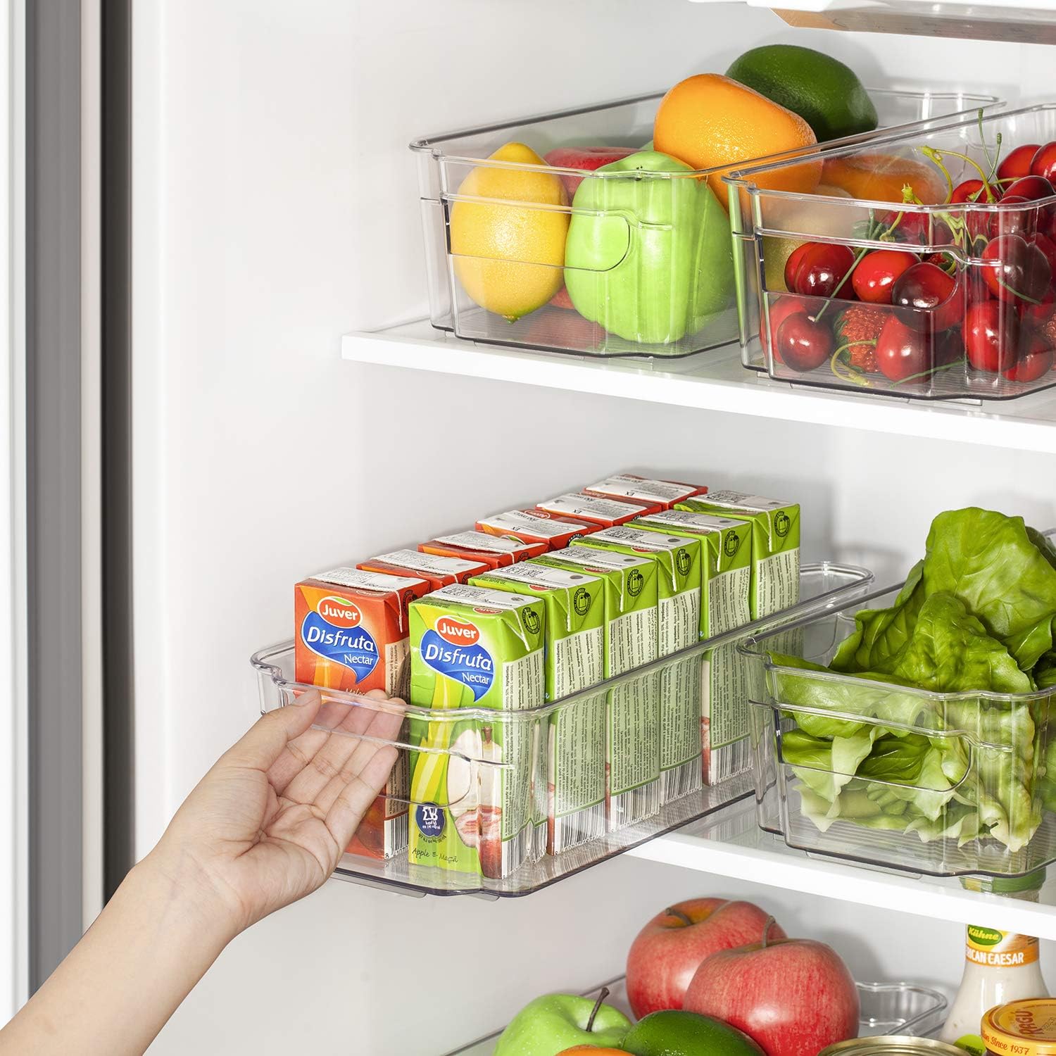 HOOJO Organizadores y almacenamiento de refrigerador 10 contenedores de plástico transparente para refrigerador, congelador, armario de cocina,