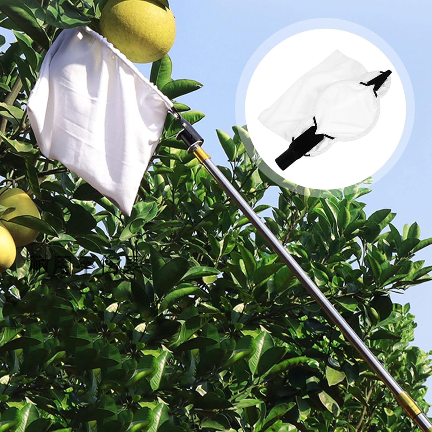 iplusmile Recolector de frutas Cosechadora de frutas Poste de recolección de frutas Herramienta de fruta de árbol de acero inoxidable Equipo de
