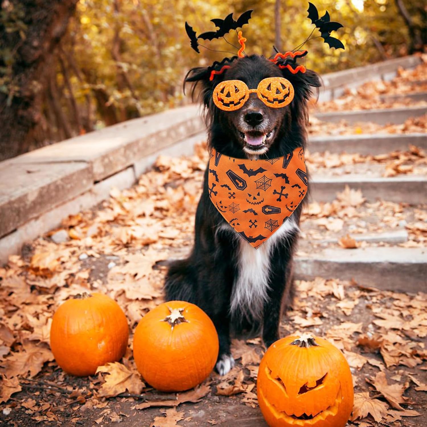 Bandana de Halloween para perro con patrón de arañas murciélagos, cómoda bufanda triangular de algodón para cachorros y perros pequeños, pañuelo