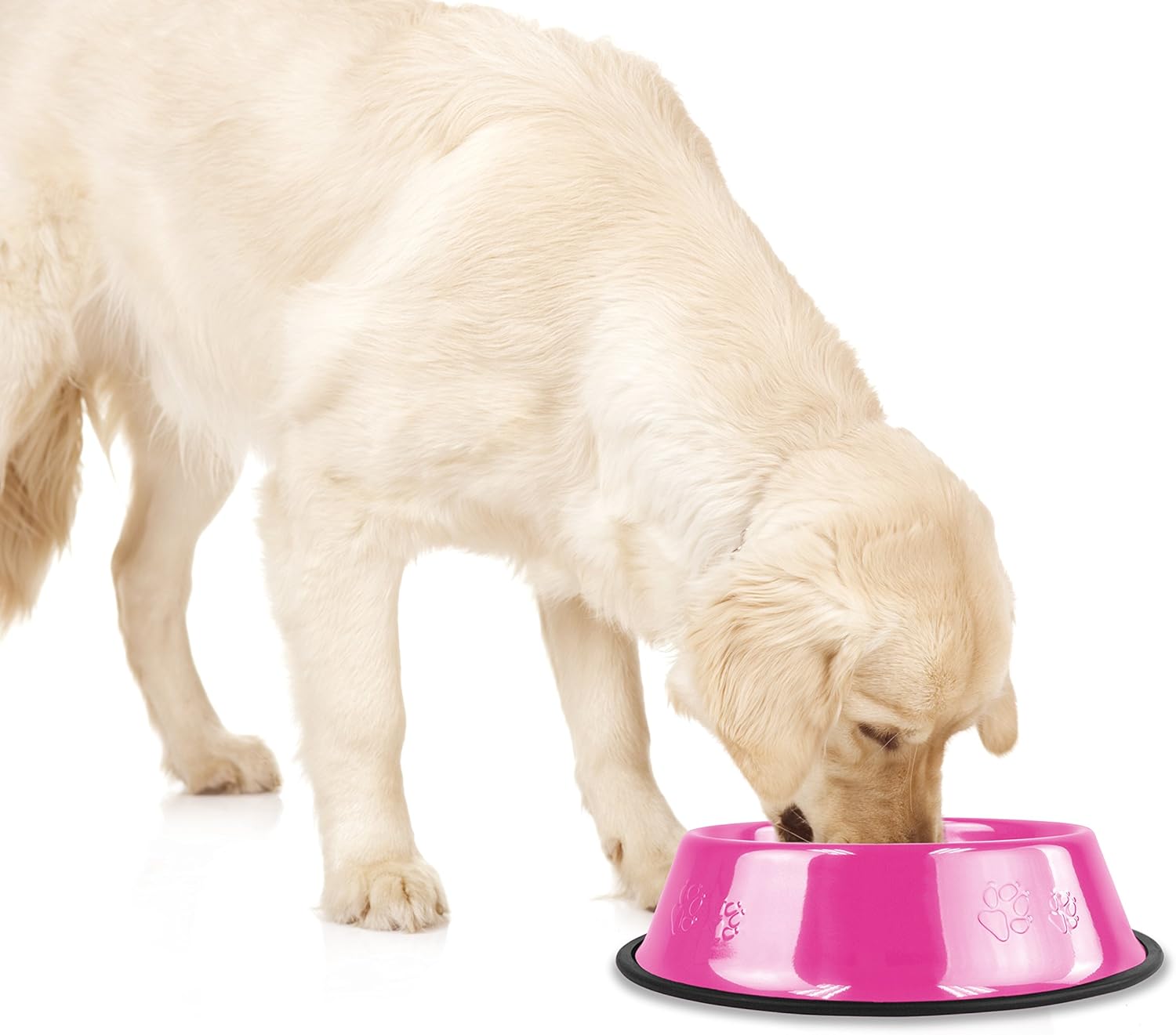 Platinum Pets – tazón de acero inoxidable para gatos y perros que no se vuelca