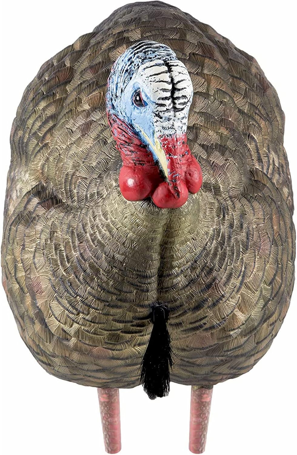 Avian-X Señuelo de pavo de Jake de medio puntal LCD  Señuelo de caza plegable realista duradero con bolsa de transporte y estaca, AVX8012