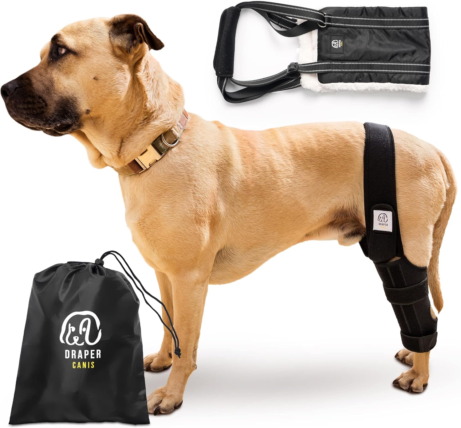 Rodillera para perro para desgarro de ligamento cruzado anterior con lesión de ligamento cruzado  Soporte ajustable para soportes de pierna trasera