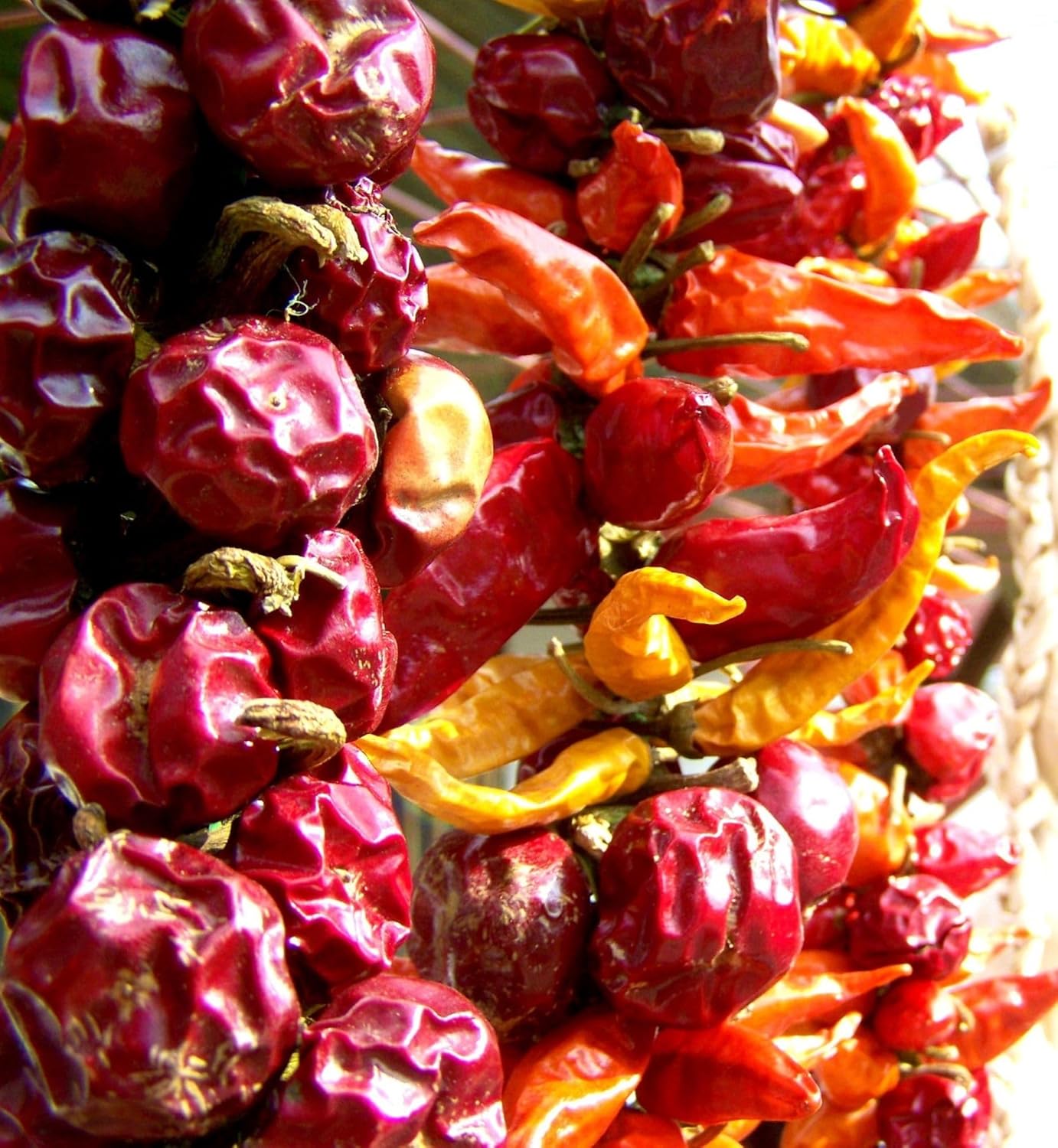 Semillas picantes de cereza roja pimienta  Elige el tamaño del paquete  B309 (90 semillas, 10.07 oz)