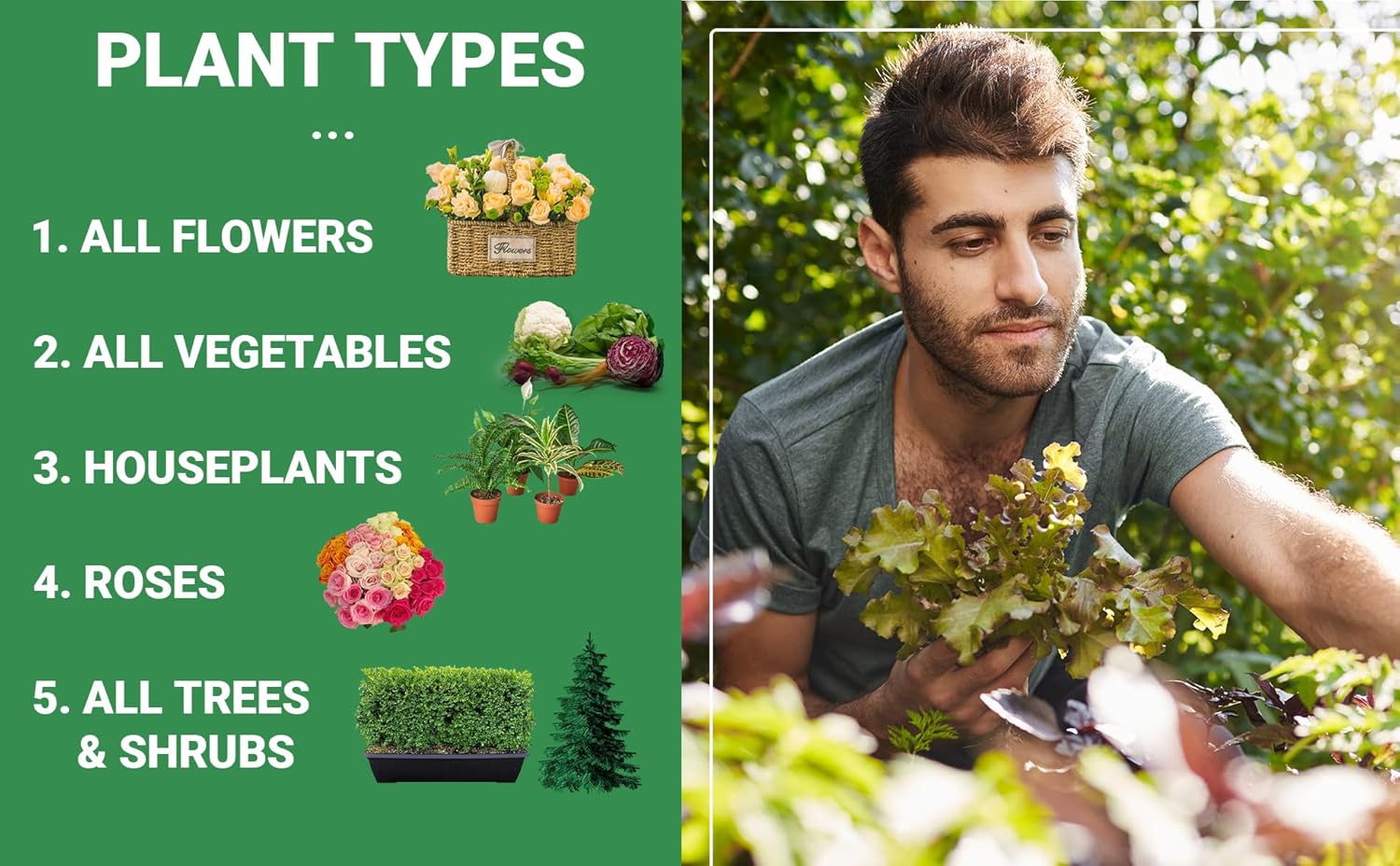 Gardenwise 6-6-6 Fertilizante profesional multiusos para plantas de alimentos ideal para el cuidado de invierno y alimentación de primavera, NPK