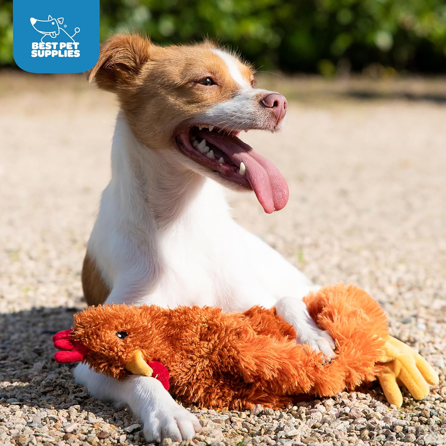 Best Pet Supplies Juguetes de peluche de pollo arrugado para juegos interactivos, cachorros y adultos mayores, forma colorida de juguete de pollo,