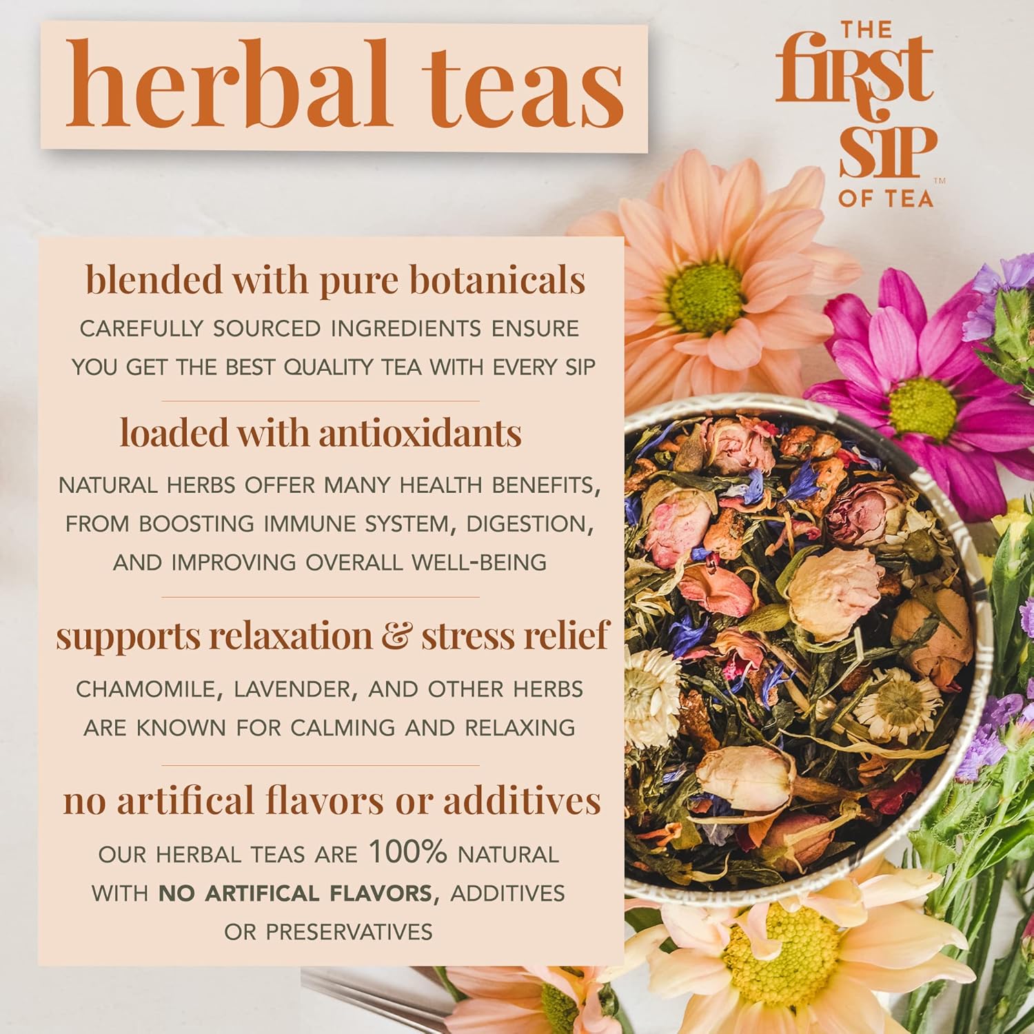 The Spice Hut Berry Bliss Caja de té de hierbas, 16 bolsas de té, el primer sorbo de té (SHBX103)