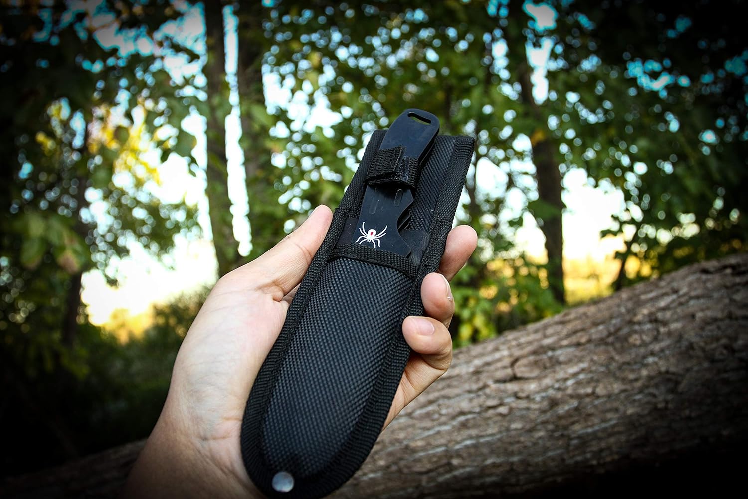 BladesUSA Perfect Point – Cuchillos para lanzar  Juego de 3  Cuchillas y asas de acero inoxidable negro con diseño de araña, funda de nailon,