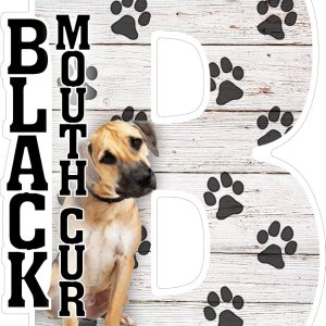 Imán para nevera I Love My Black Mouth Cur Imán para nevera I Love My Black Mouth Cur