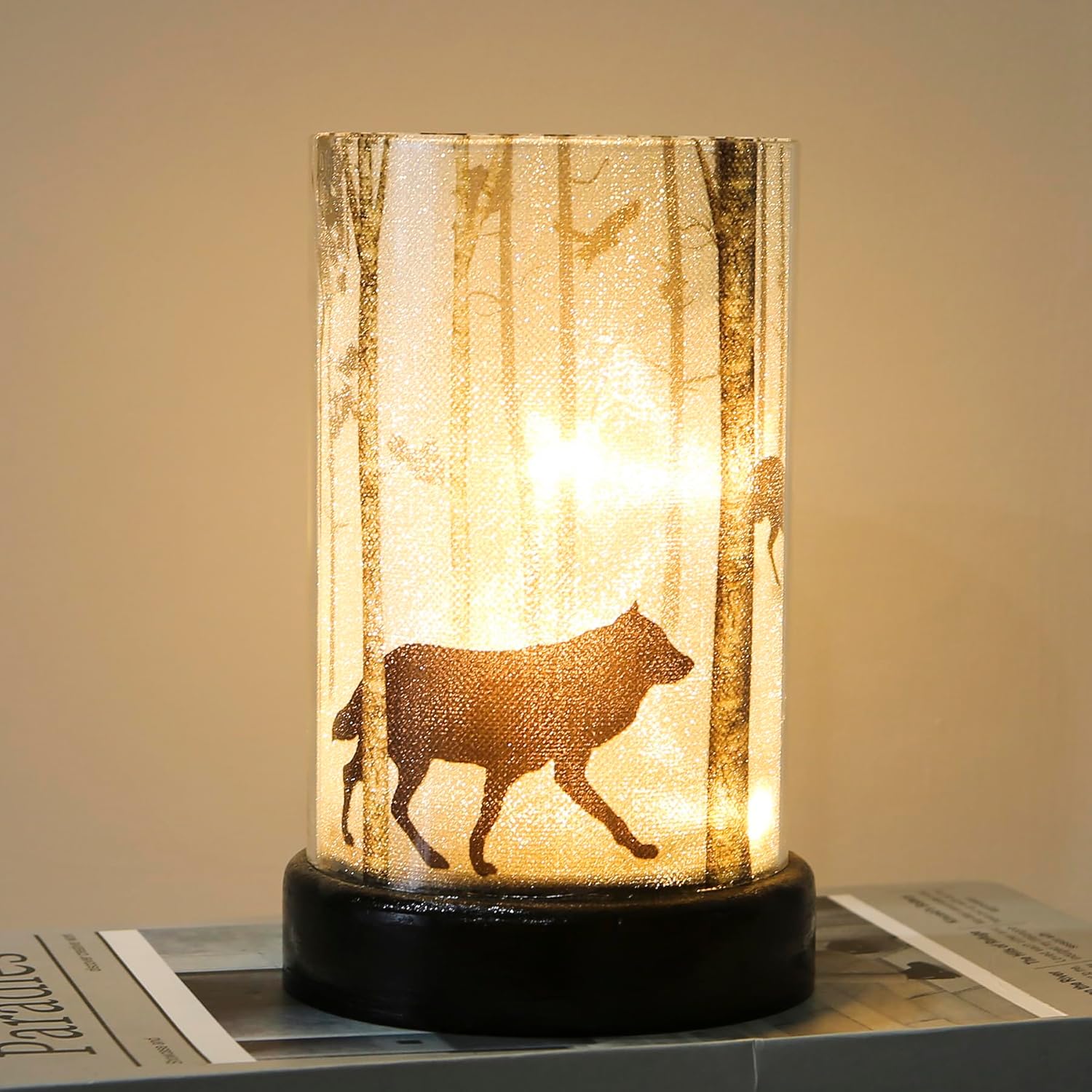 Lámpara de mesa a pilas, lámparas inalámbricas para decoración del hogar, luz nocturna alimentada por batería con bombilla LED, luces decorativas