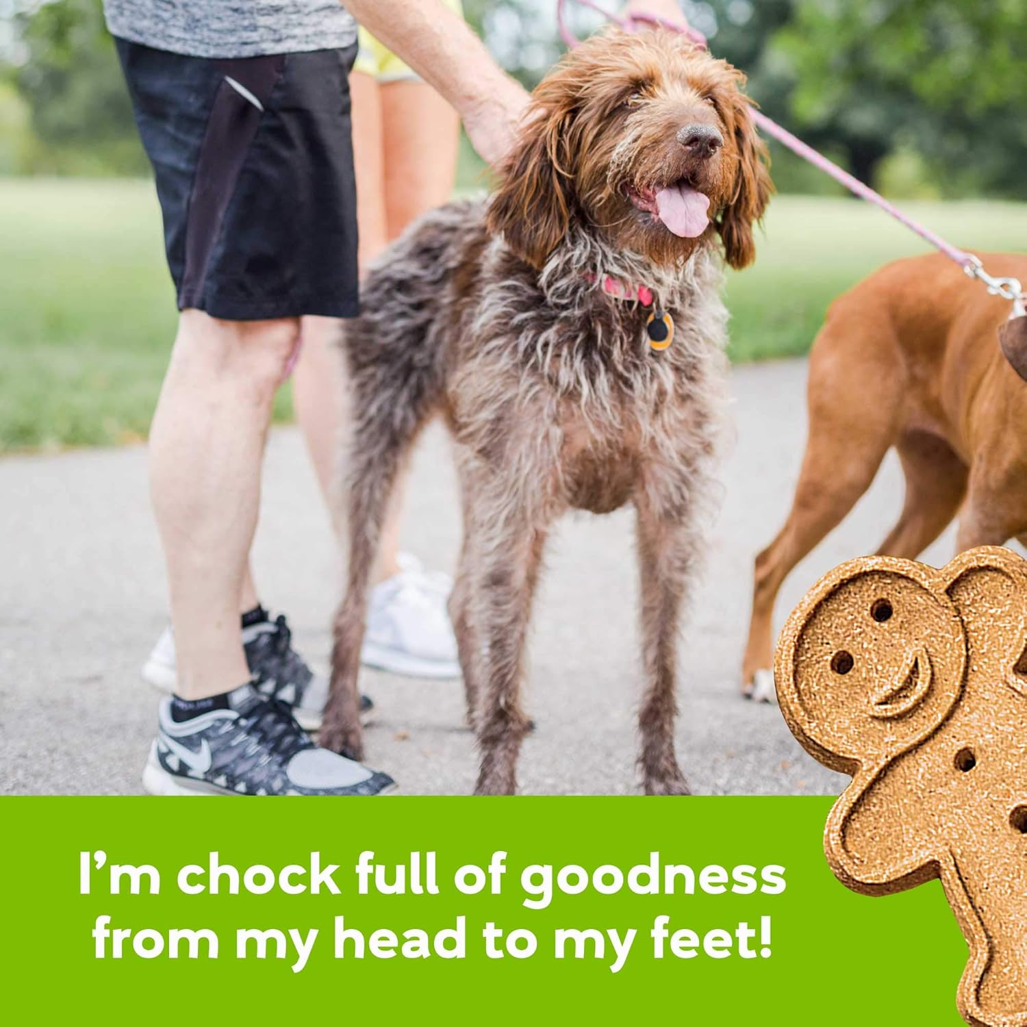 Buddy Biscuits – Golosinas crujientes para perros, pollo asado, caja de 8 onzas