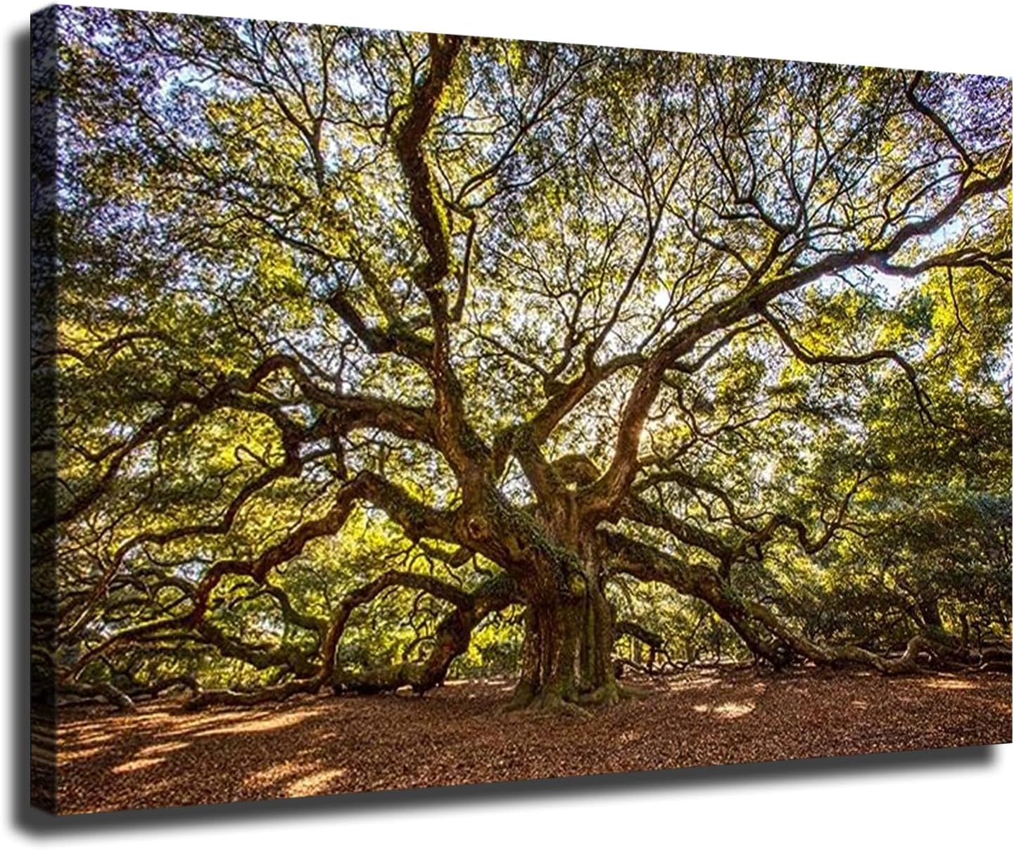 Norhi Póster de Angel Oak Tree de Charleston de Carolina del Sur, para sala de estar, moderno, decoración de dormitorio familiar (24 x 36 pulgadas,