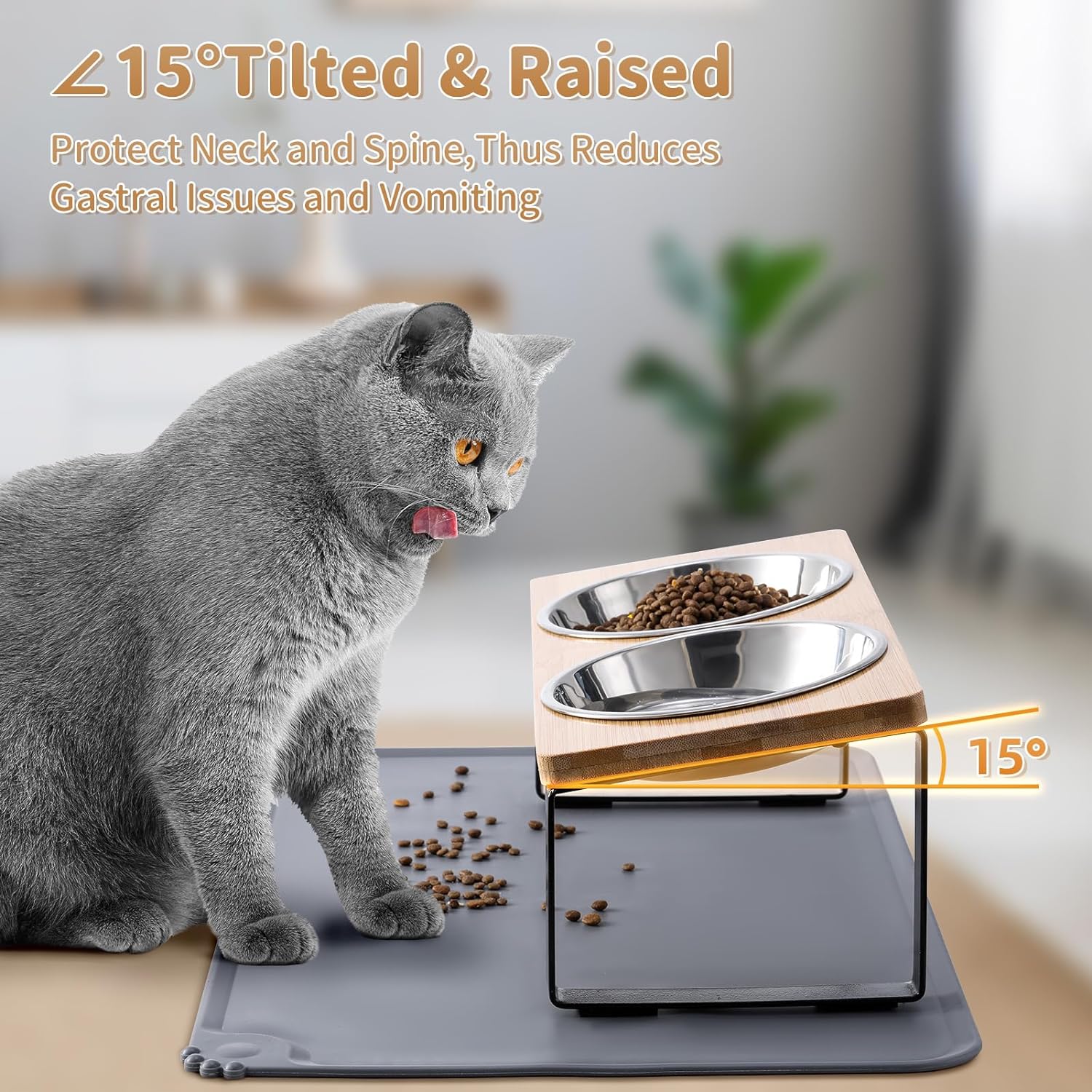 Cuencos elevados mejorados para gatos con tapete para alimentos, soporte inclinado de 15 , platos elevados para gatos y agua, 2 cuencos de acero