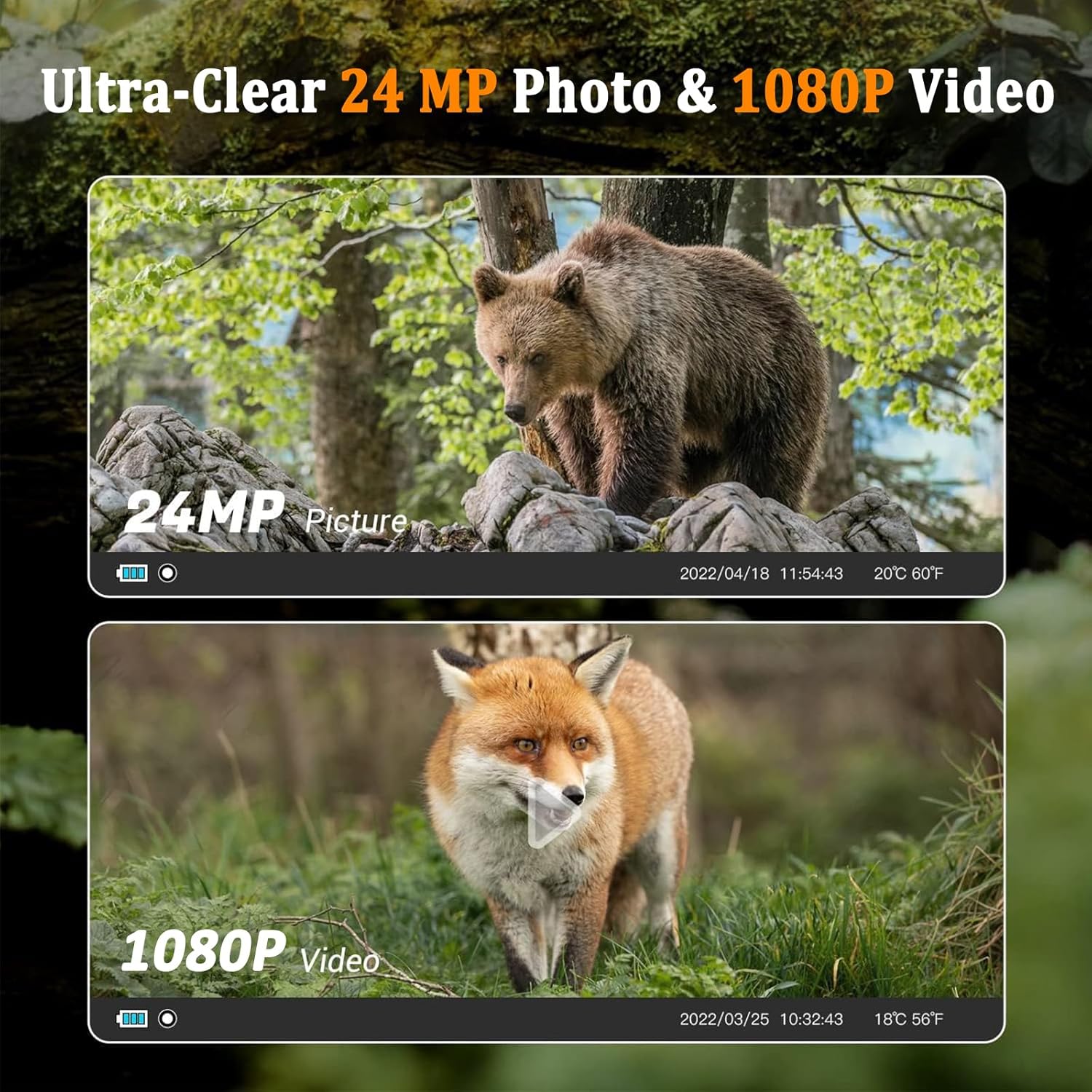 Cámara de rastreo de 24MP 1080P, cámara de juego con visión nocturna, tiempo de activación de 0.2 s, cámaras de caza impermeables con LCD de 2.0