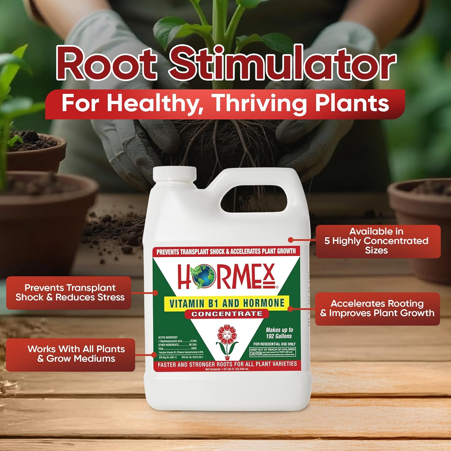 Hormex Concentrado de hormona líquida de enraizamiento con B1 – Estimulador de crecimiento de raíces para plantas fuertes y saludables – Previene el