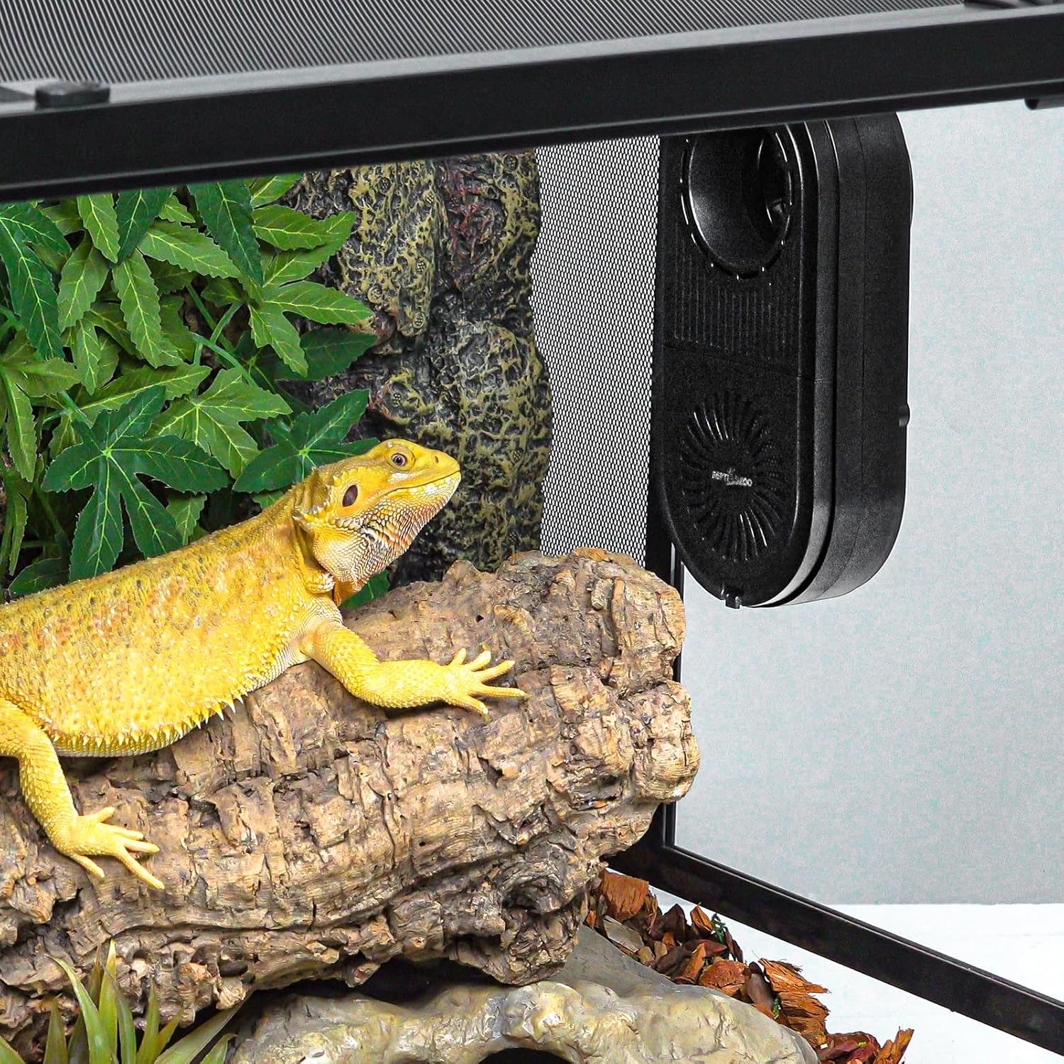 REPTI ZOO Purificador de aire de terrario de vidrio para reptiles, filtro de carbono, deshumidificador de reptiles, con sincronización para dragón