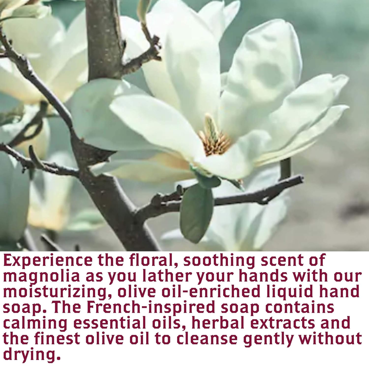 OLIVIA CARE Jabón líquido de manos con magnolia y aceites esenciales. Todo natural, limpia, lucha contra los gérmenes, hidrata el lavado de manos