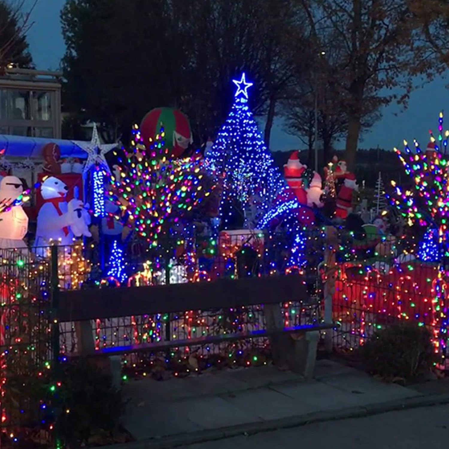 FUNPENY – Paquete de 50 x 2 luces LED de Navidad para uso al aire libre de 16 pies, tira de luces con 8 modos, luces impermeables para árbol en