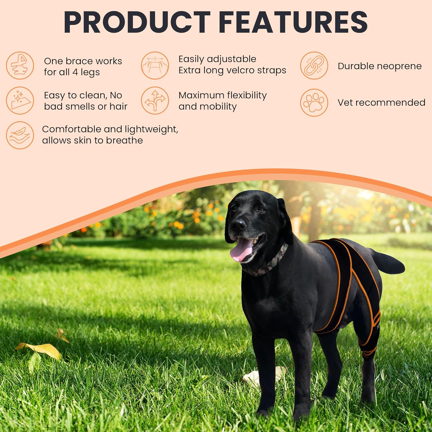 Rodillera para perro para pierna trasera desgarrada del ACL  Arnés de neopreno premium para perros grandes  Soporte de pierna trasera lavable y