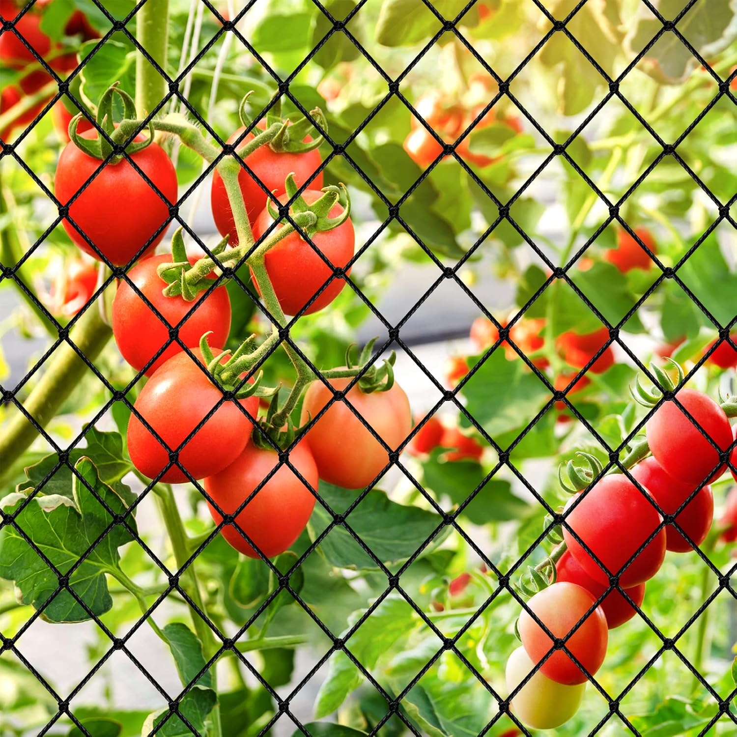 Red para pájaros, red de jardín con red de malla de 34 pulgadas, red de aves de corral de 50 x 100 pies para gallinero, red de nailon resistente