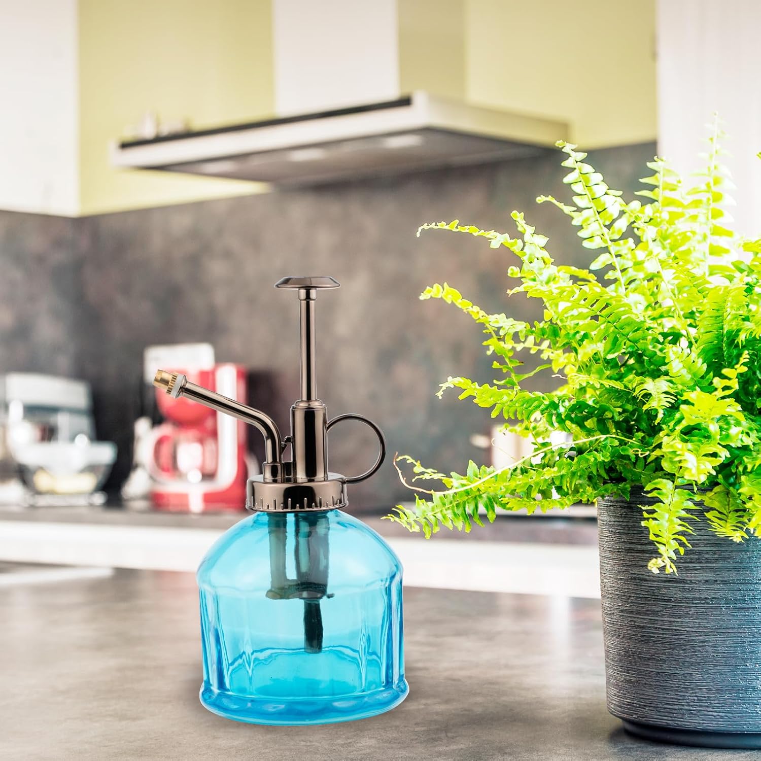 REFFU Plant Mister – Botella rociadora para plantas, rociador de plantas, botella de riego para suculentas con bomba superior para plantas de casa,