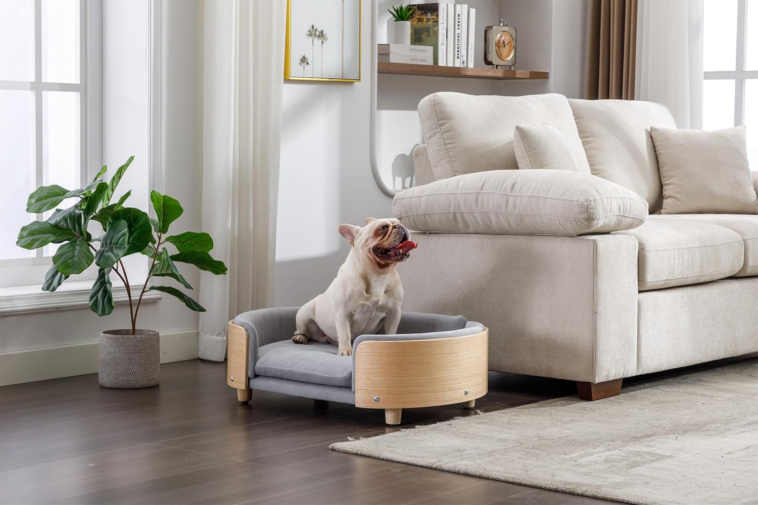 HomSof Cama elevada para perro de 30.7 pulgadas, sofá para mascotas con patas de madera maciza y respaldo de madera doblada, cojín de terciopelo,