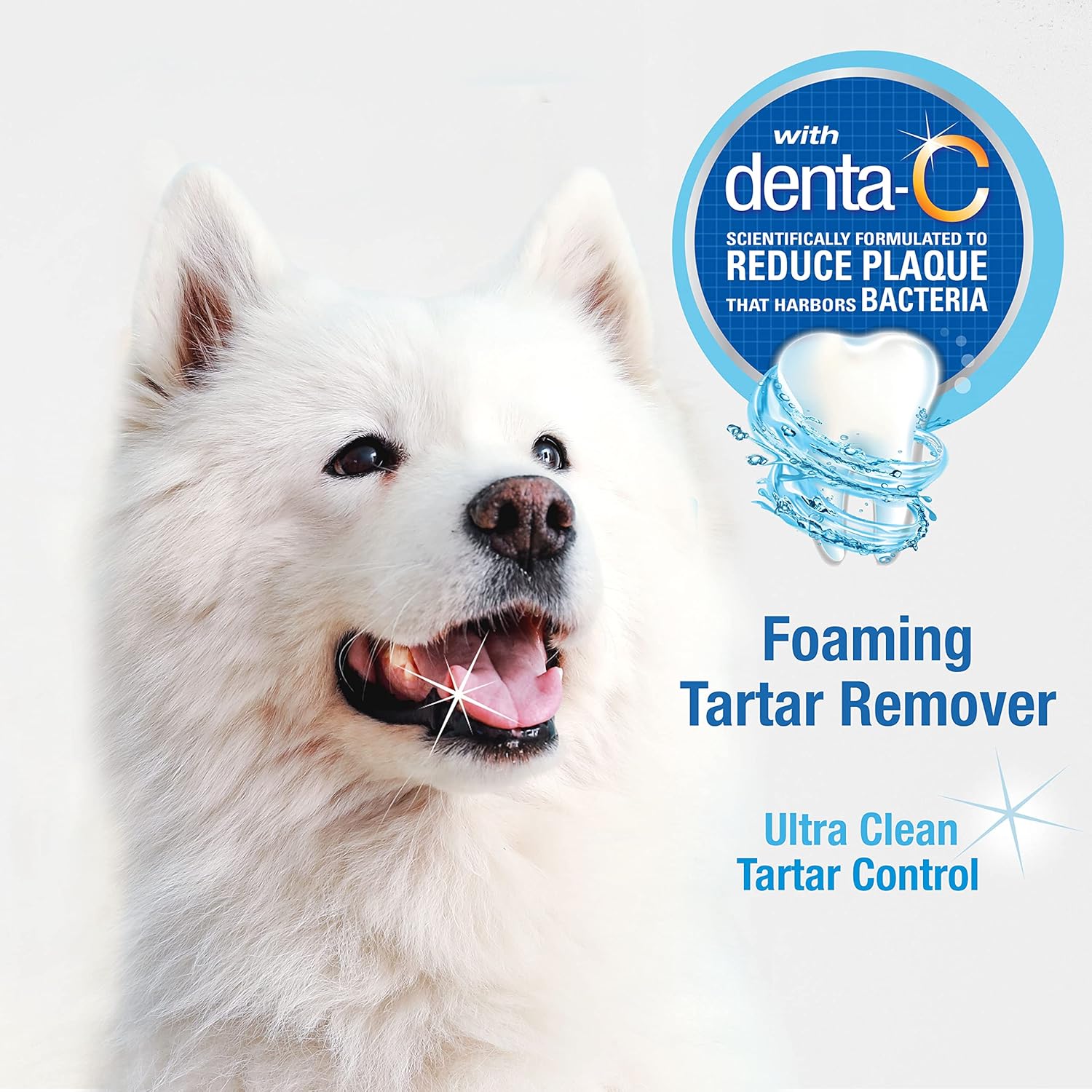 Nylabone Advanced Oral Care – Removedor de sarro para perros en espuma, ambientador de aliento y espuma de limpieza de dientes (4 onzas)