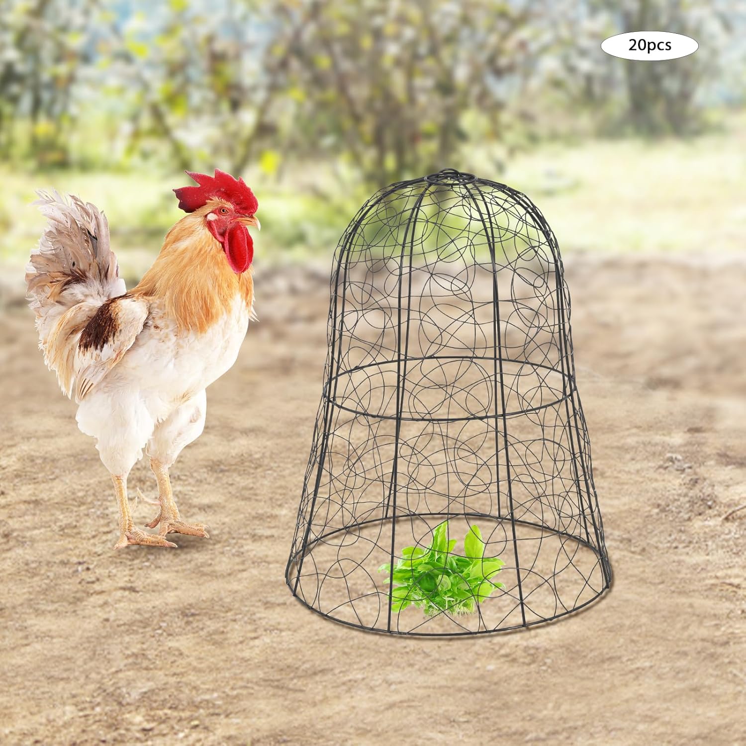 Paquete de 20 Cloches de alambre de pollo para jardín, 12.99 pulgadas de profundidad x 15.75 pulgadas de alto, protectores y cubiertas de plantas,