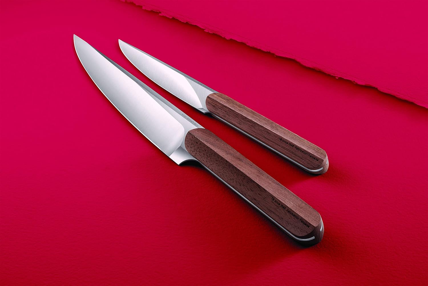 TB Groupe – Cuchillo de pelar Louis – Cuchillo Nitrox de acero inoxidable – 16% cromo – Resistencia excepcional – Fabricado en Francia – 3.5″