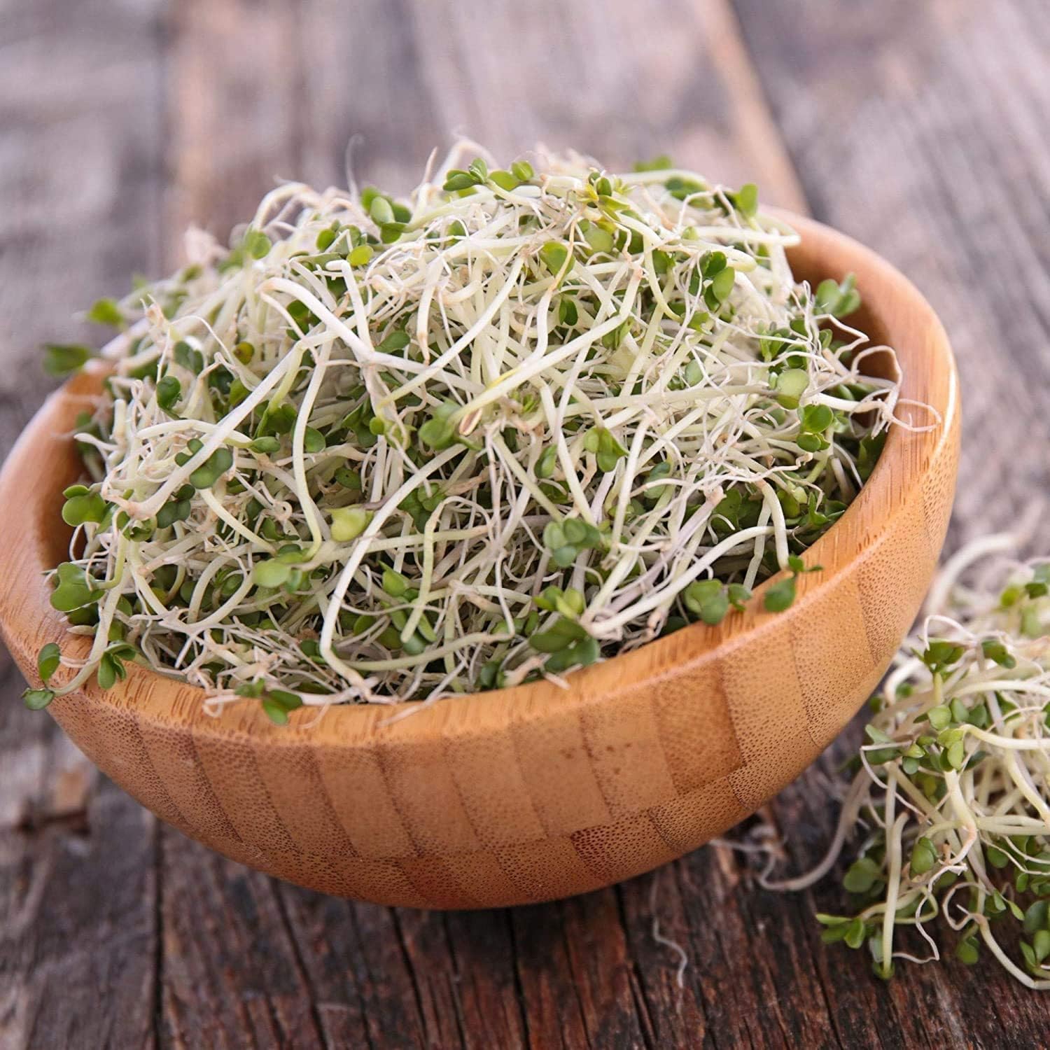 1 libra  Semillas de brote de brócoli cultivadas en Estados Unidos  Semillas de brócoli sin OMG para brotar en bolsa de pie  Semillas vegetales de
